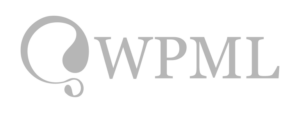 wpml logo gris 768x288