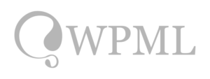 logo wpml gris 768x288